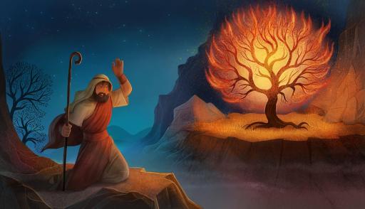 The Kingdom of God Bible Storybook Set - image 3