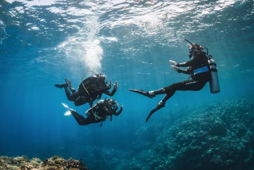 PADI® Divemaster (DM) - image 2