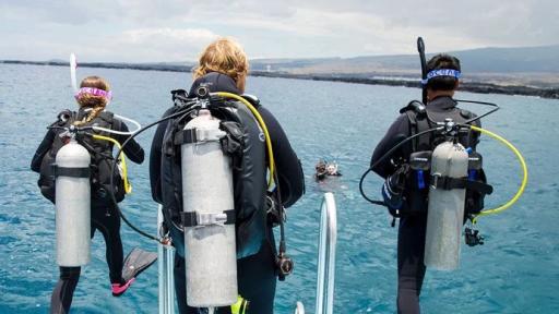 PADI® Open Water Scuba Instructor (OWSI) - image 2
