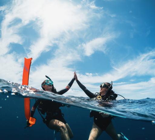 PADI® Open Water Scuba Instructor (OWSI) - image 1