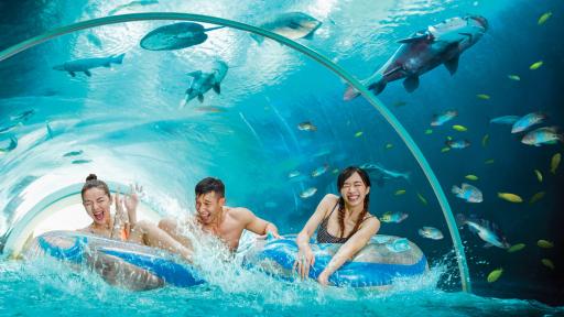 Adventure Cove Waterpark @ Resorts World Sentosa - image 3