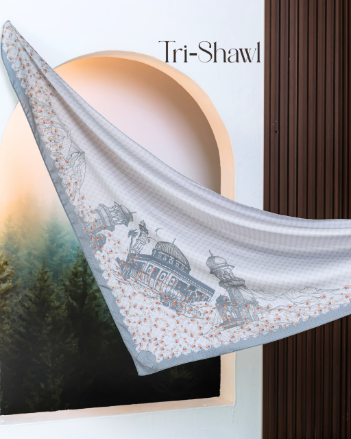 Aqsa Series - Silsila - image 2
