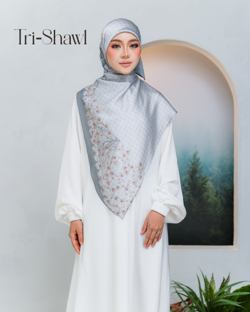 Aqsa Series - Silsila - image 1