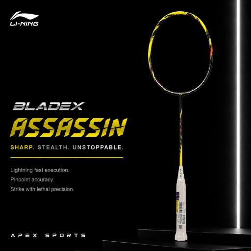 BladeX Assassin - image 1