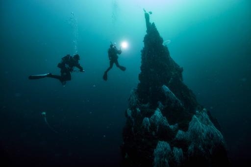 Deep Diver Specialty - image 1