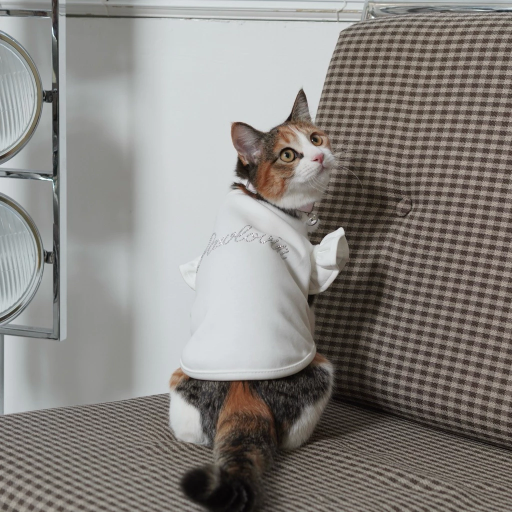 [Pawlovin] Chelsea Top - image 6