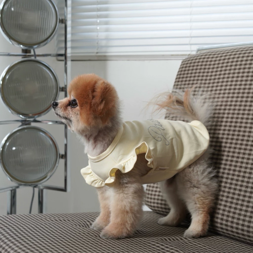 [Pawlovin] Chelsea Top - image 4