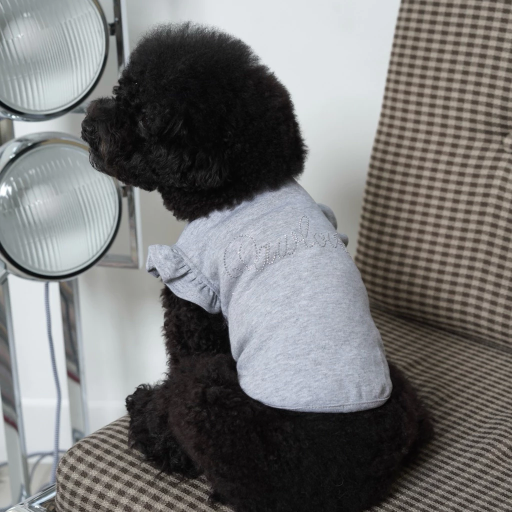 [Pawlovin] Chelsea Top - image 3