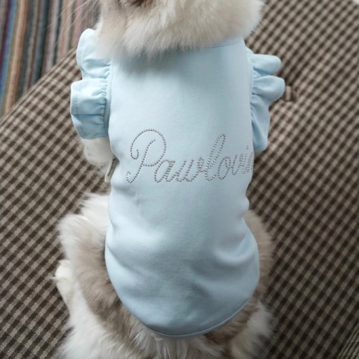 [Pawlovin] Chelsea Top - image 2