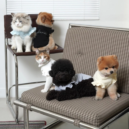[Pawlovin] Chelsea Top - image 5