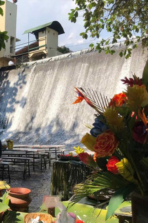 Villa Escudero Day Tour (Monday-Thursday) - image 4