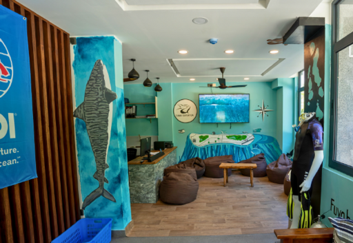 5D4N Dive with Tiger Sharks - Fuvahmulah, Maldives - image 10