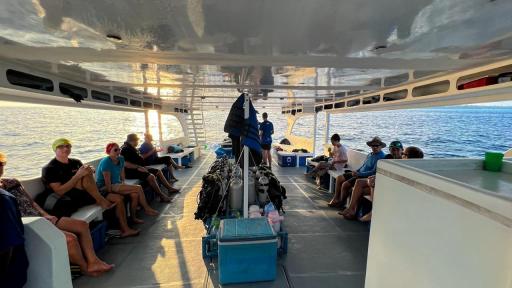 Discover Dhigurah - 6D5N at Boutique Beach Maldives - 5th-10th Dec 2026 - image 4