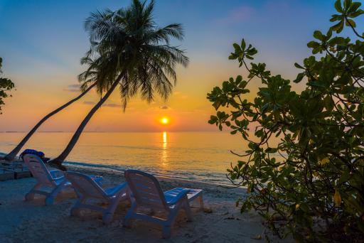 Discover Dhigurah - 6D5N at Boutique Beach Maldives - 5th-10th Dec 2026 - image 5