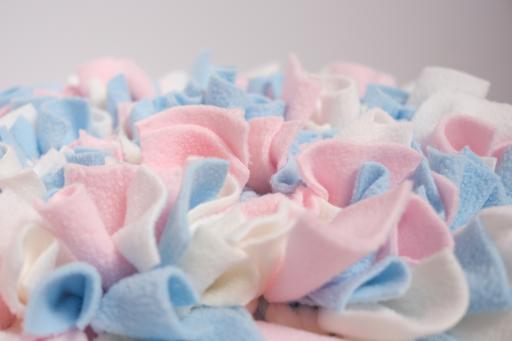 Snuffle Mat 2.0 - image 5