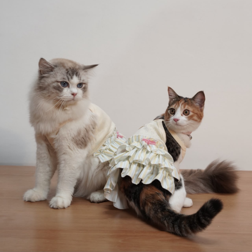 [Pawlovin] Emily Dress - image 5