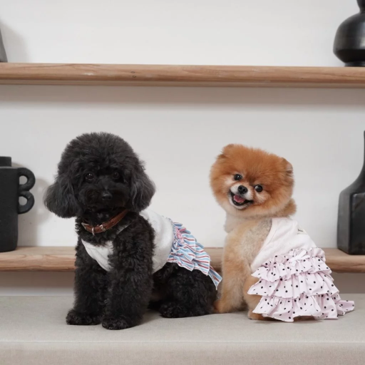[Pawlovin] Emily Dress - image 8