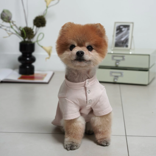 [Pawlovin] Eve Shirt - image 3