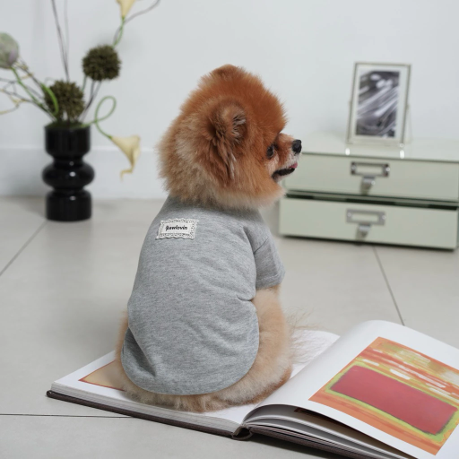 [Pawlovin] Eve Shirt - image 5