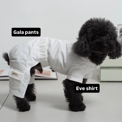 [Pawlovin] Eve Shirt - image 8