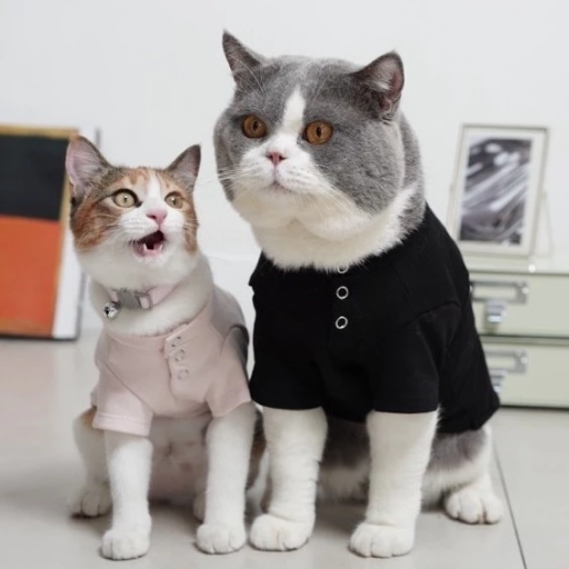 [Pawlovin] Eve Shirt - image 7