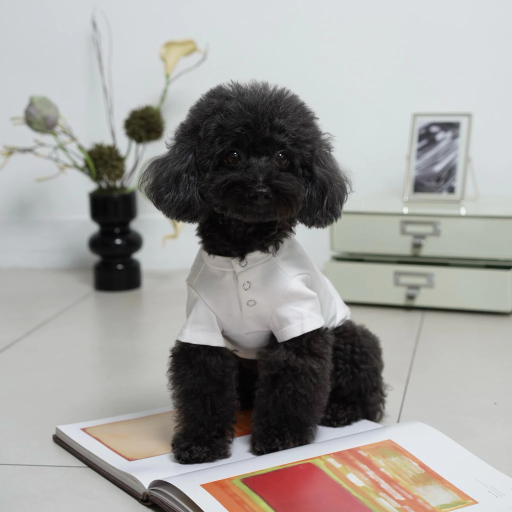 [Pawlovin] Eve Shirt - image 4