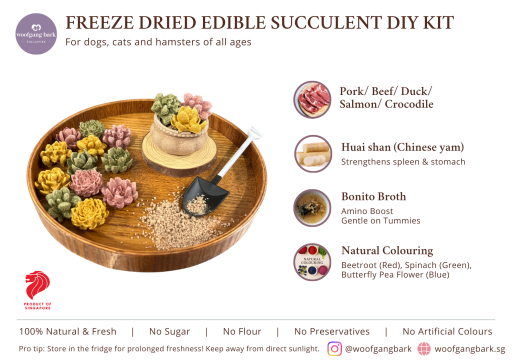 Freeze-Dried Edible Succulent DIY Kit - image 3
