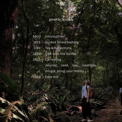 Forest Bathing: a monthly micro retreat in nature - image 2