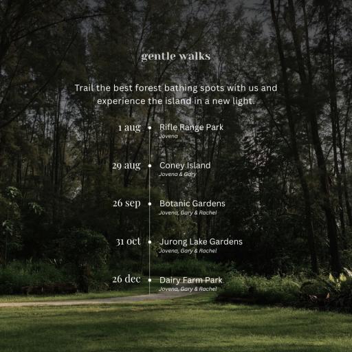 Forest Bathing: a monthly micro retreat in nature - image 3
