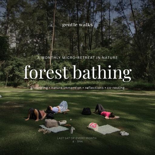 Forest Bathing: a monthly micro retreat in nature - image 1