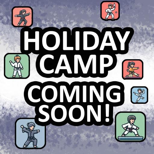 4-in-1 HOLIDAY CAMP - image 1