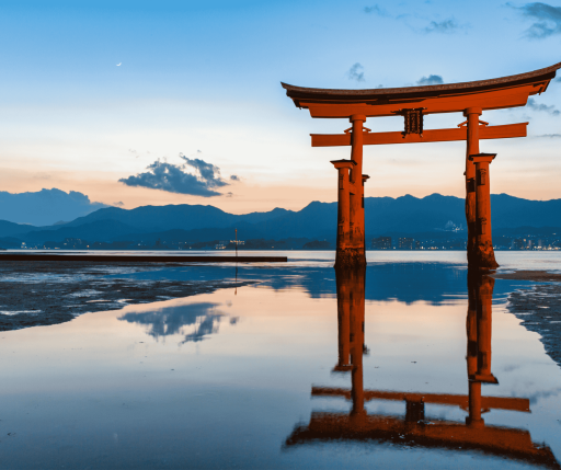 Osaka Heritage Discovery: Mt. Koya, Kyoto & Nara Tours 4D3N - image 5