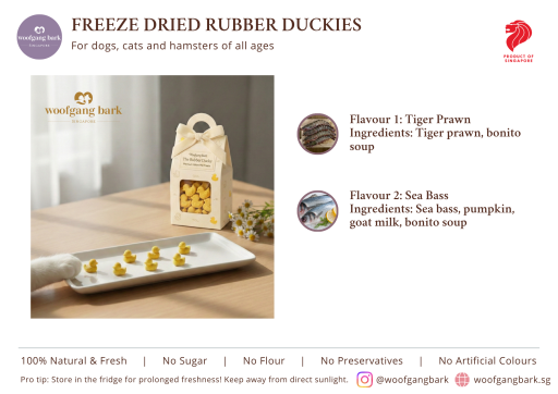 Freeze-Dried Rubber Duckie - image 2