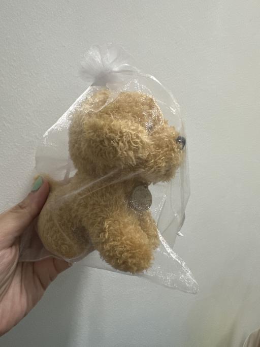 Pop up Poodle Maomao - image 3