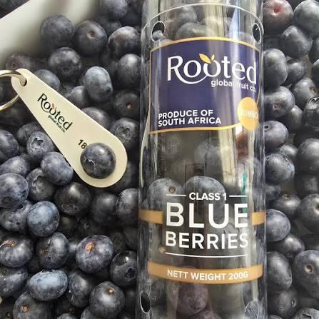 Jumbo Blueberries Tube - image 2
