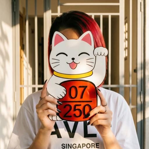 FORTUNE CAT - image 2