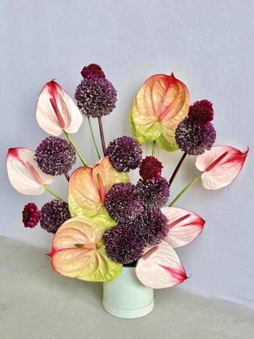 Blush Anthurium Bloom Box - image 1