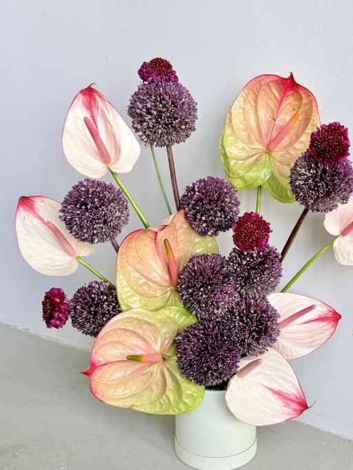 Blush Anthurium Bloom Box - image 2