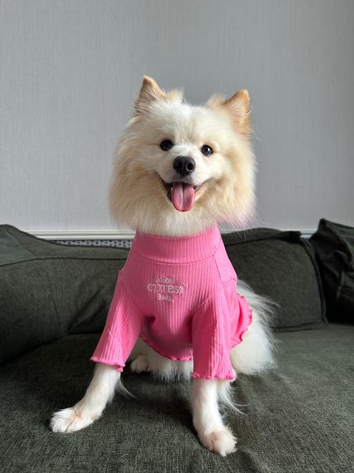 [Pawlovin] Nori Turtleneck - image 2