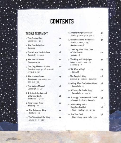 The Kingdom and the King Storybook Bible - image 2