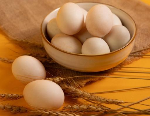 Premium Egg (Omega + Selenium) - image 3