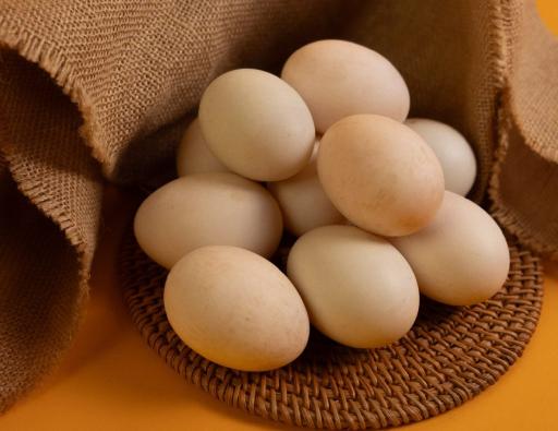 Fresh Duck Egg - image 2