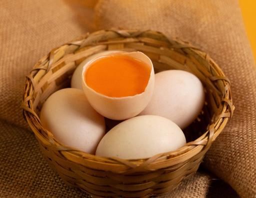 Premium Egg (Omega + Selenium) - image 2