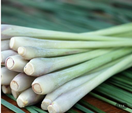 ByOrgMeans Lemongrass Essential Oil 10ml - image 2