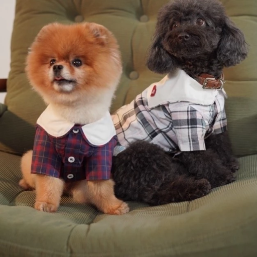 [Pawlovin] Lilo Top - image 5