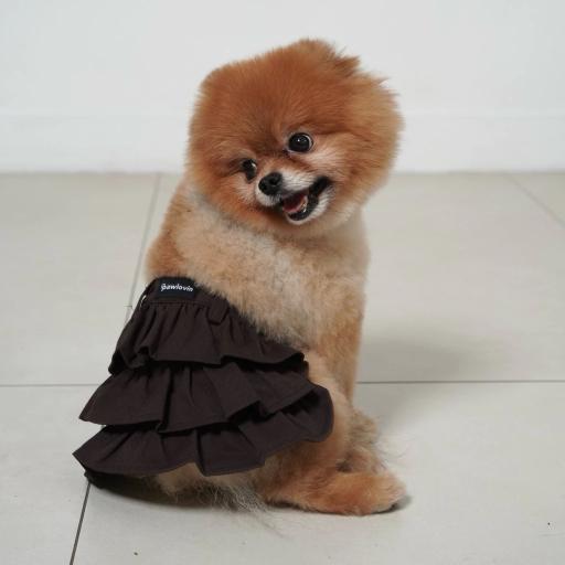 [Pawlovin] Lumi Skirt - image 9