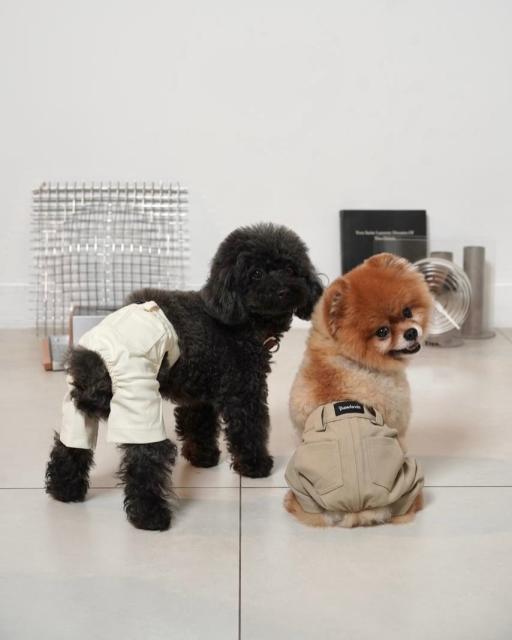 [Pawlovin] Margo Pants - image 3
