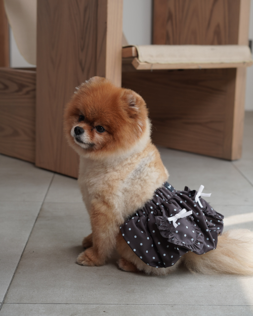 [Pawlovin] Miu Balloon Skirt - image 7