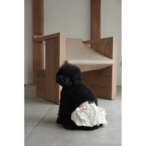 [Pawlovin] Miu Balloon Skirt - image 8
