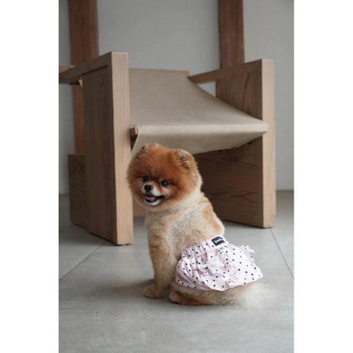 [Pawlovin] Miu Balloon Skirt - image 5